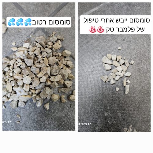 סומסום רטוב